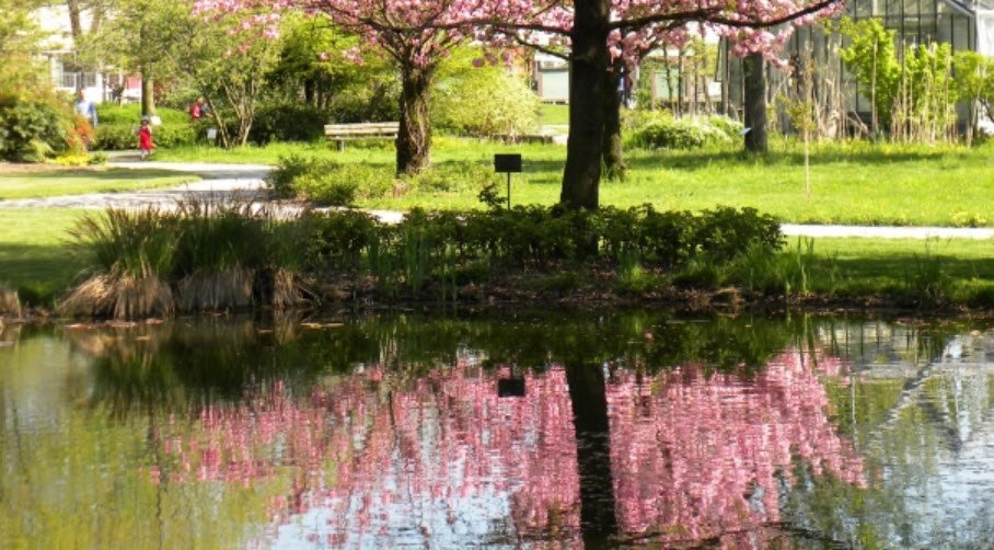 Botanical Garden Città Studi, Milan, Italy, Italy